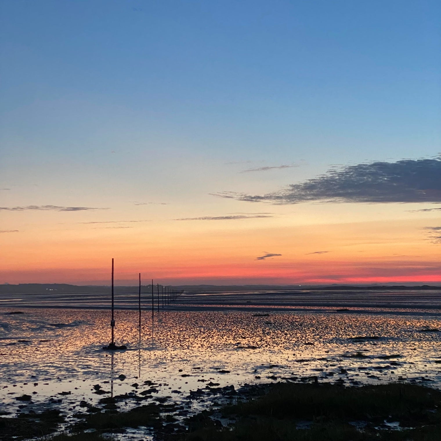 Pilgrims Coffee E-Gift Card