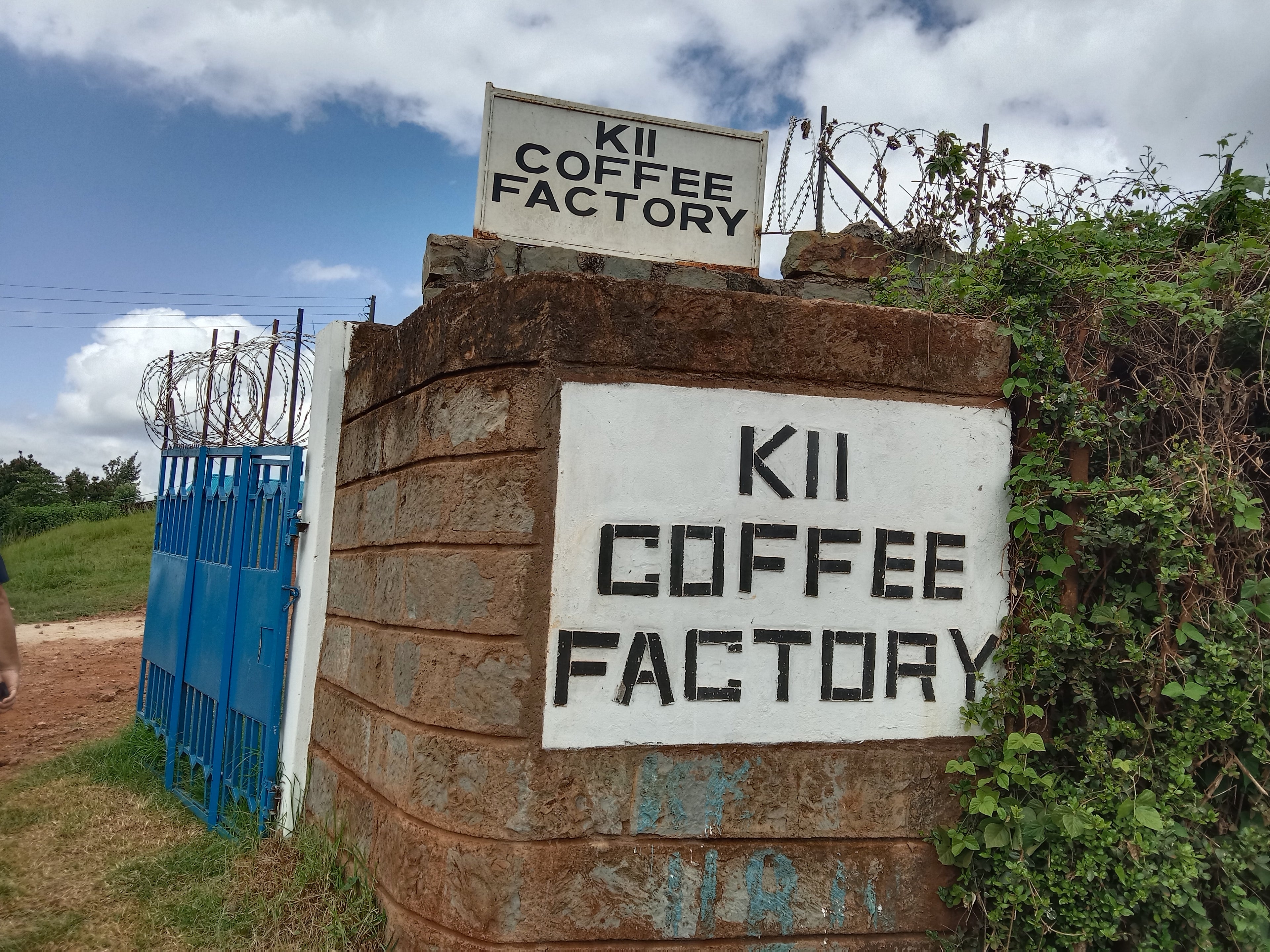 Kii AA - Kenya Single Origin