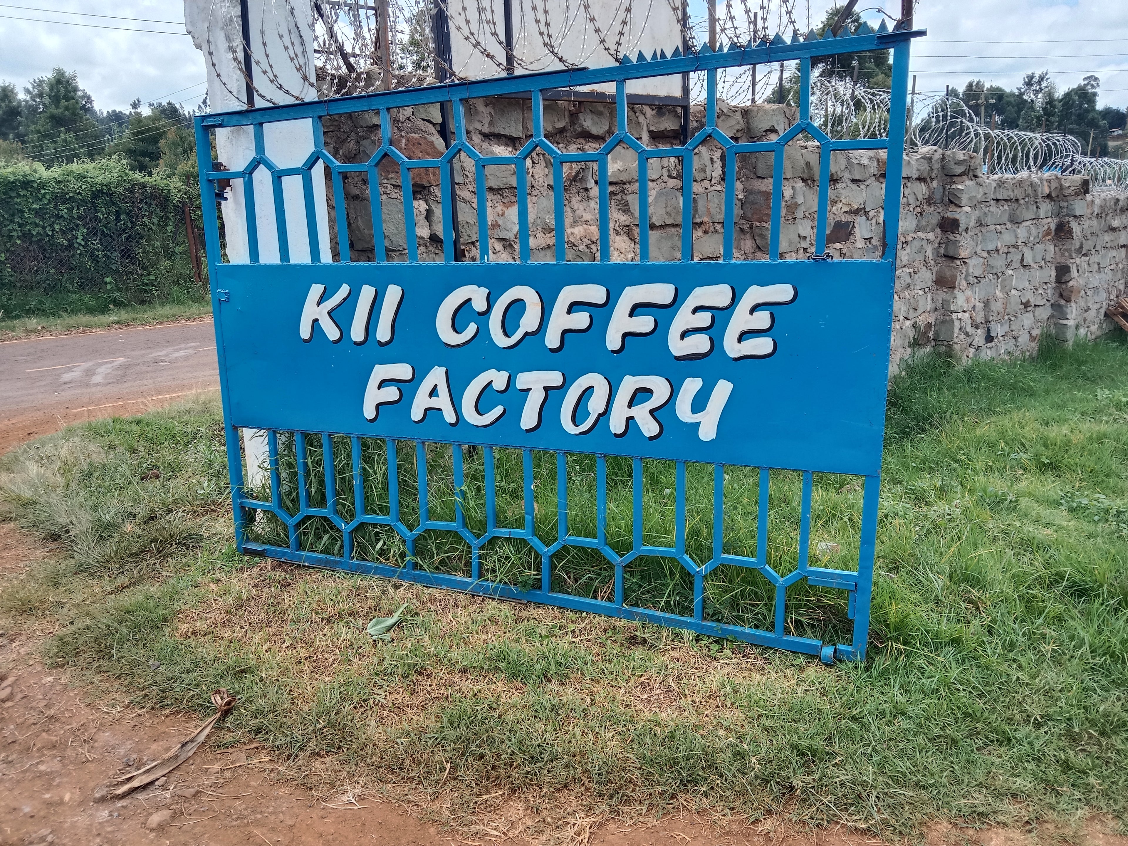 Kii AA - Kenya Single Origin