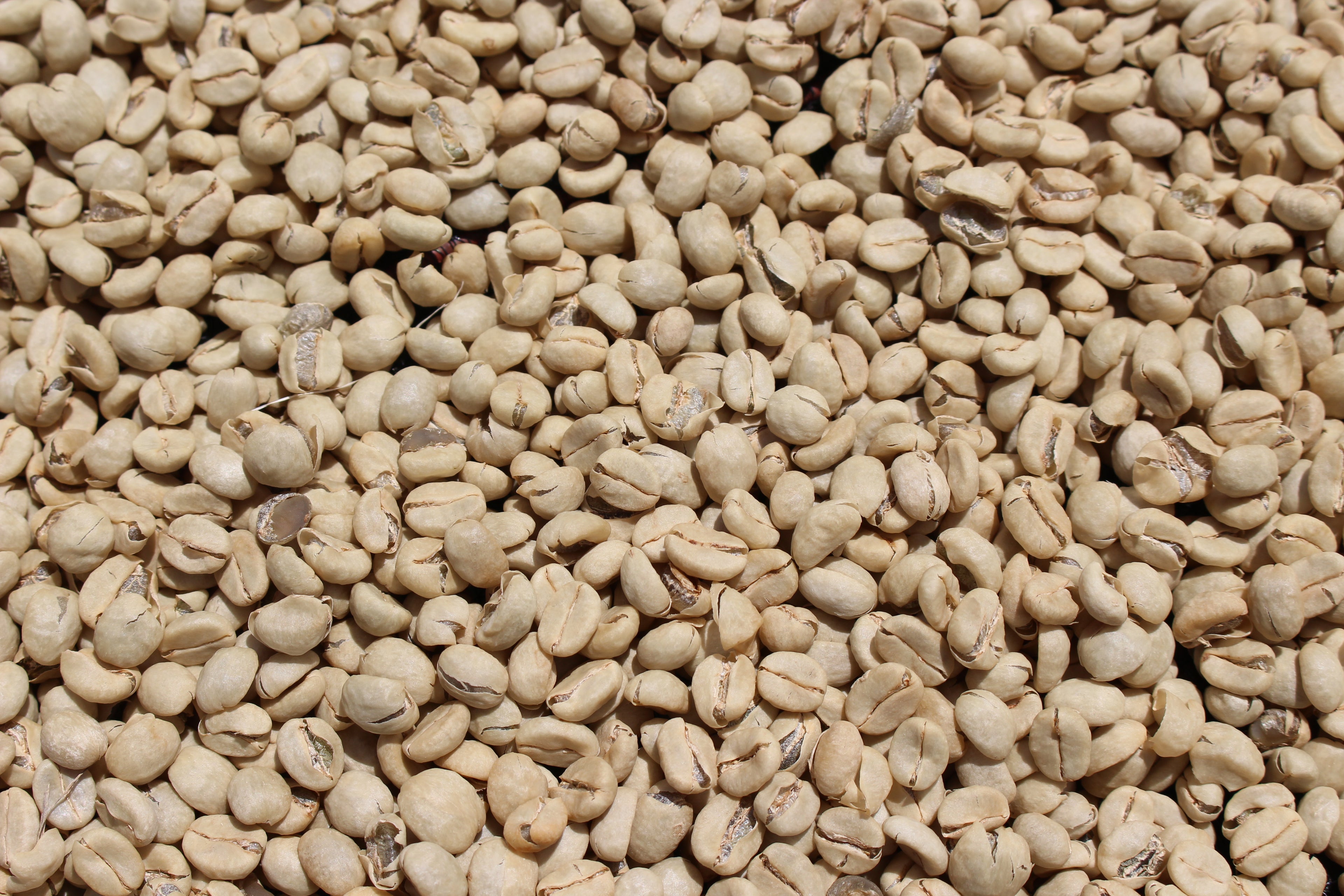 Kii AA - Kenya Single Origin